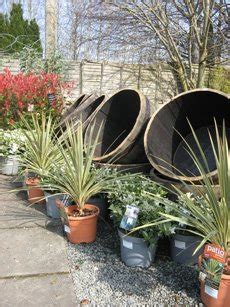 stirling plants for hire